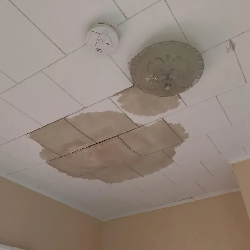 Ceiling Water Damage Repair in McKinney, TX