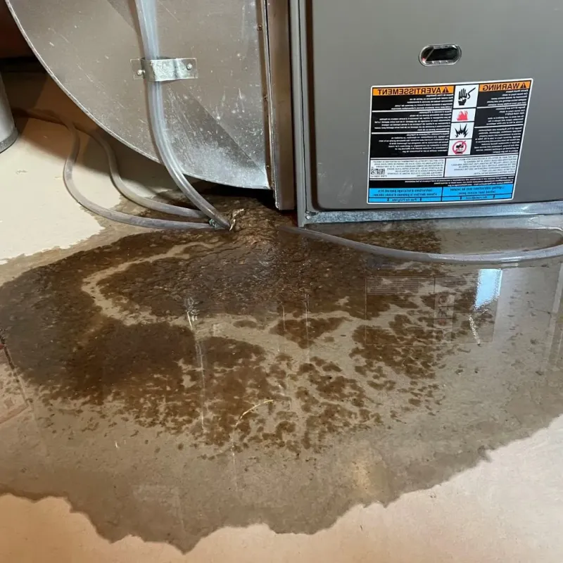 Pipe Burst and Leak Restoration in McKinney, TX