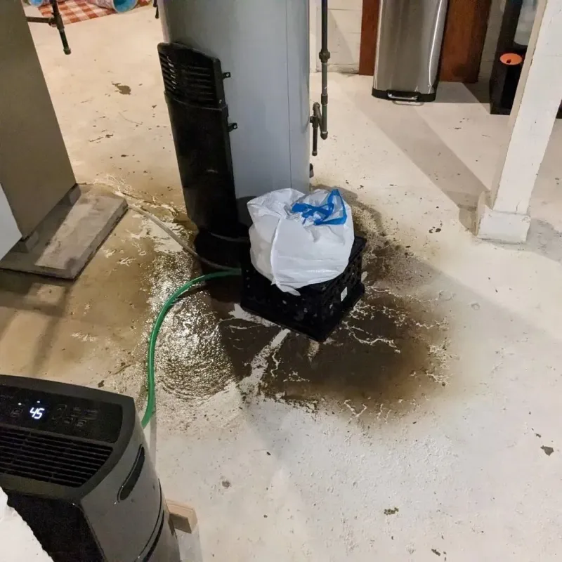 Sewage Backup Cleanup Service in McKinney, TX